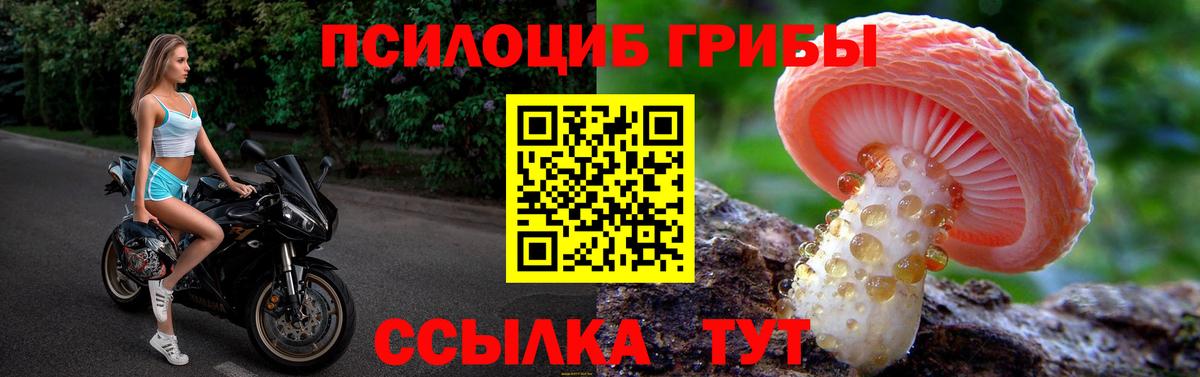 Наро-Фоминск  как найти наркотики  Вход с VPN  Псилоцибиновые грибы Magic Shrooms 